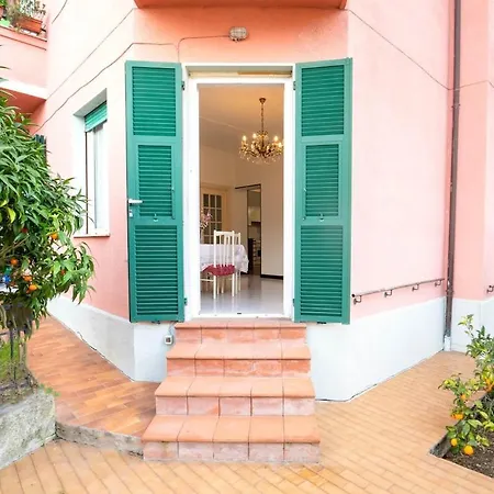 The Citrus House *